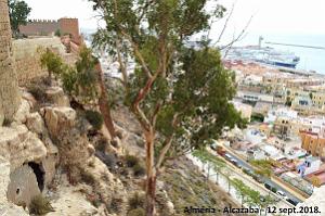 10 ALMERIA ALCAZABA 12 09 2018 (234)